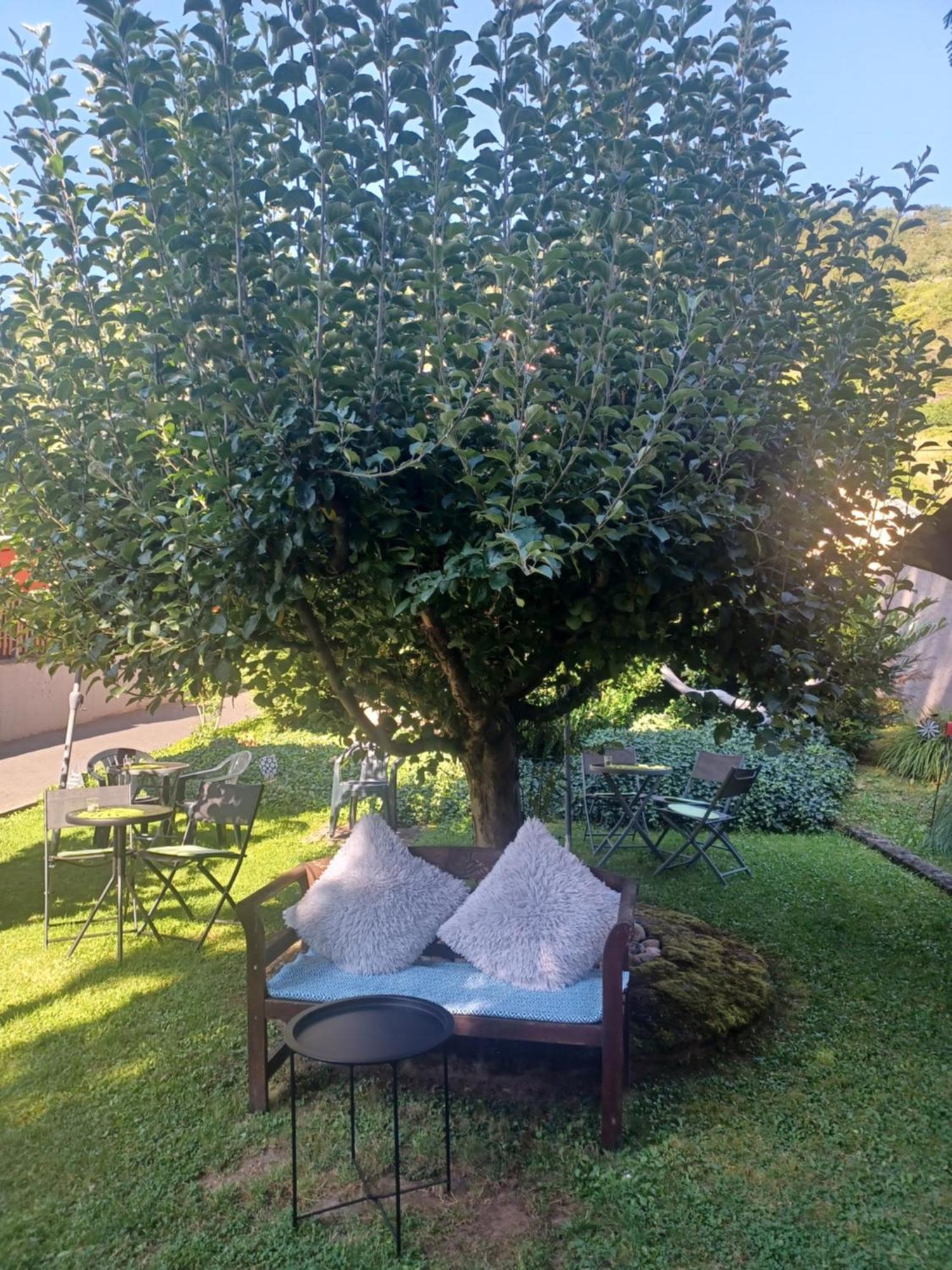 Villa Marlene Treis-Karden Exteriör bild